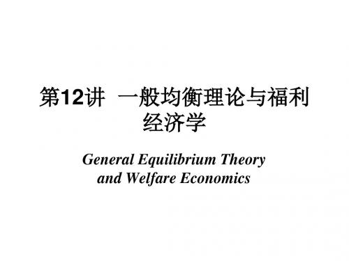 东北师范大学微观经济学精品一般均衡理论与福利经济学PPT课件