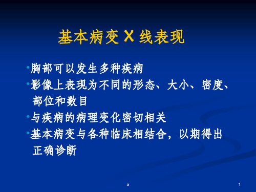 肺部基本病变的影像学表现