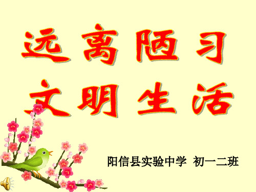 主题班会课件：远离陋习文明生活
