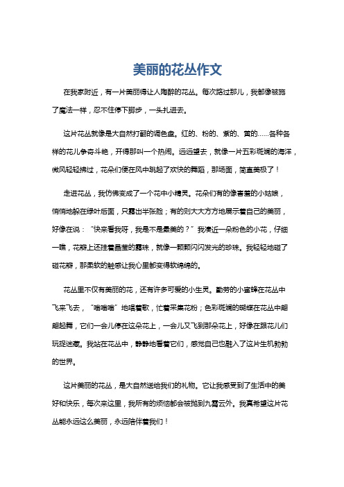 美丽的花丛作文