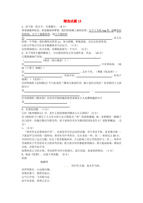吉林省吉林市中考语文 复习精选试题13 新人教版