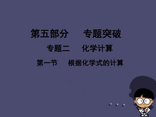 (广东地区)2016中考化学专题突破复习 第五部分 专题二 化学计算 第一节 根据化学式的计算课件 新人教版