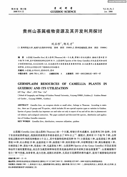 贵州山茶属植物资源及其开发利用探讨