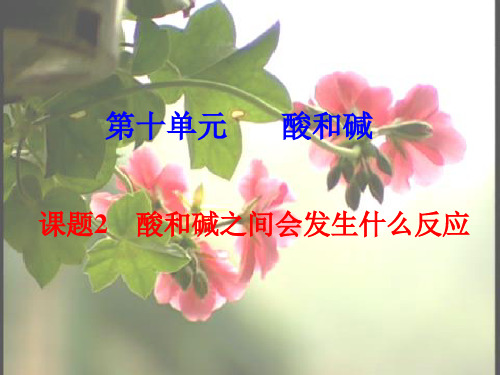 初中化学酸和碱之间会发生什么反应PPT课件