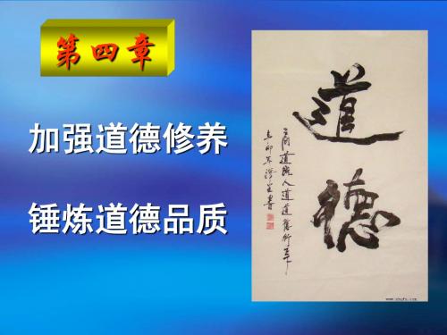 思想道德修养与法律基础课件