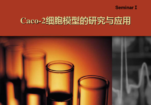 Caco-2 细胞模型的研究与应用