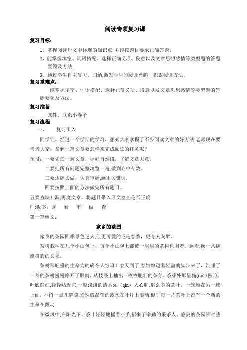 阅读专项复习课教案试卷教案