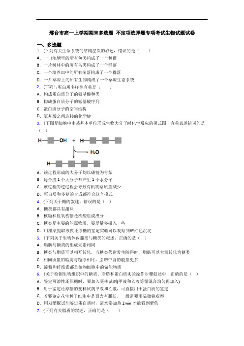 邢台市高一上学期期末多选题 不定项选择题专项考试生物试题试卷