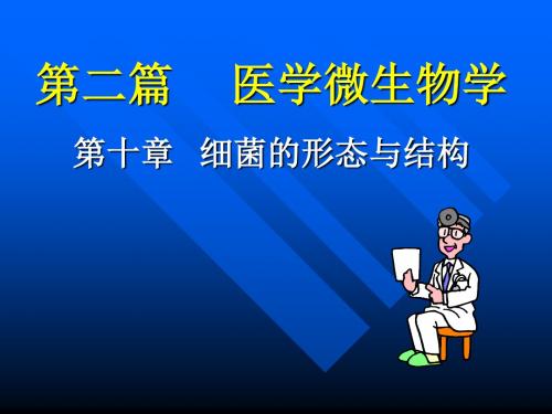 第二篇 医学微生物学.