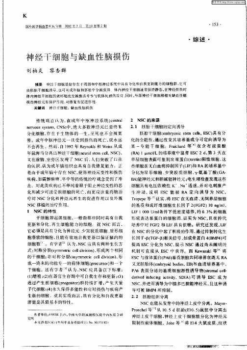 神经干细胞与缺血性脑损伤