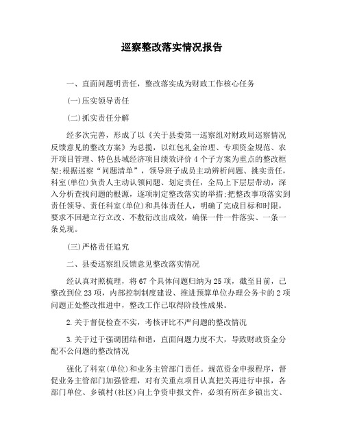 【报告范文】巡察整改落实情况报告