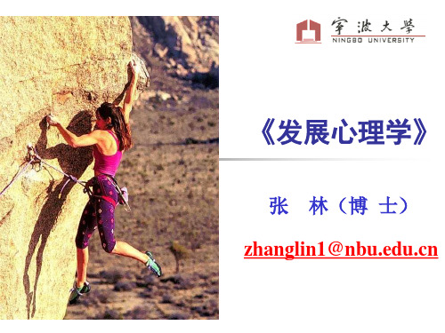 第九章 成年早期个体的心理发展
