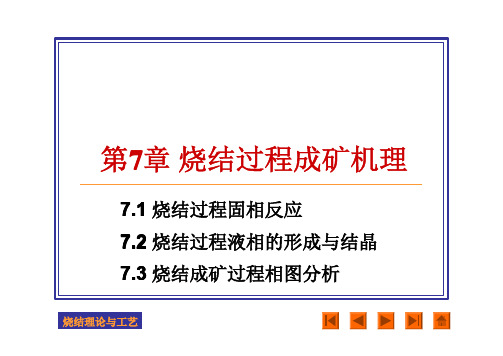 《烧结理论与工艺》第七章 烧结过程成矿机理