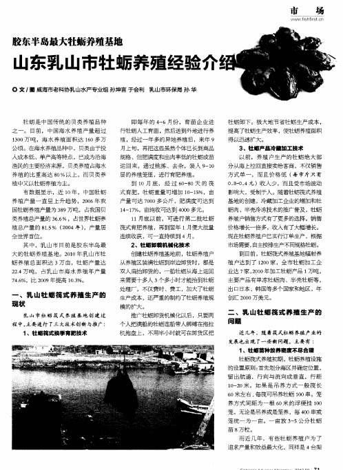 胶东半岛最大牡蛎养殖基地 山东乳山市牡蛎养殖经验介绍