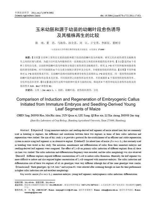 玉米幼胚和源于幼苗的幼嫩叶段愈伤诱导及其植株再生的比较