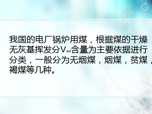 煤的分类
