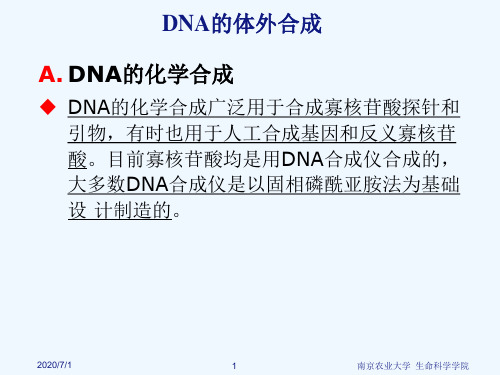 DNA体外合成与序列测定