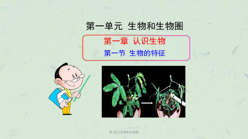 第1单元生物和生物圈课件