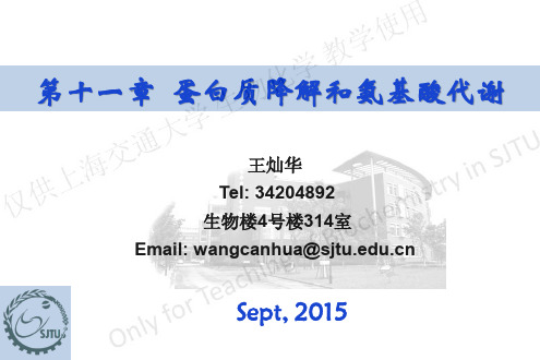 上海交通大学生物化学C类课件氨基酸代谢