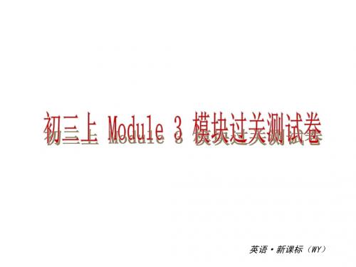 Module 3 Sporting life(模块测试)课件(外研版九年级上册)(1)