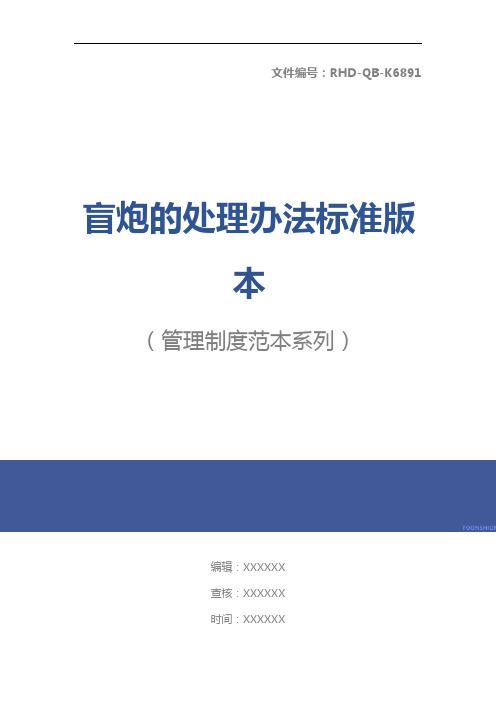 盲炮的处理办法标准版本