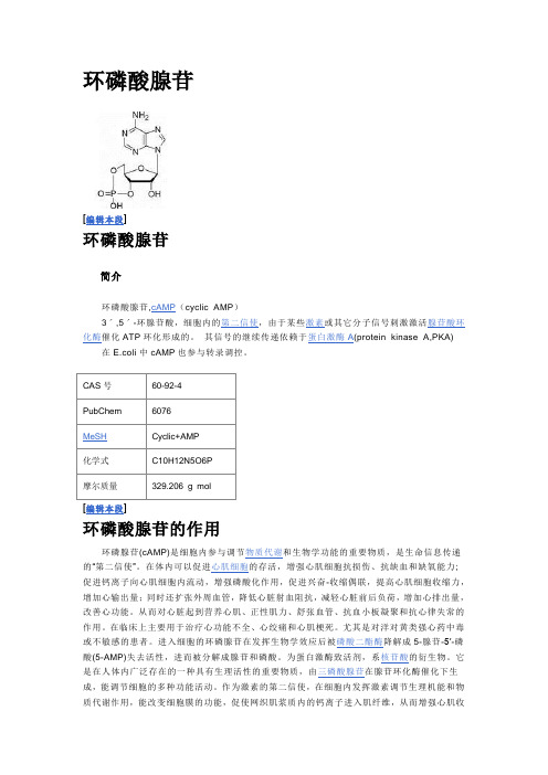 生化名词