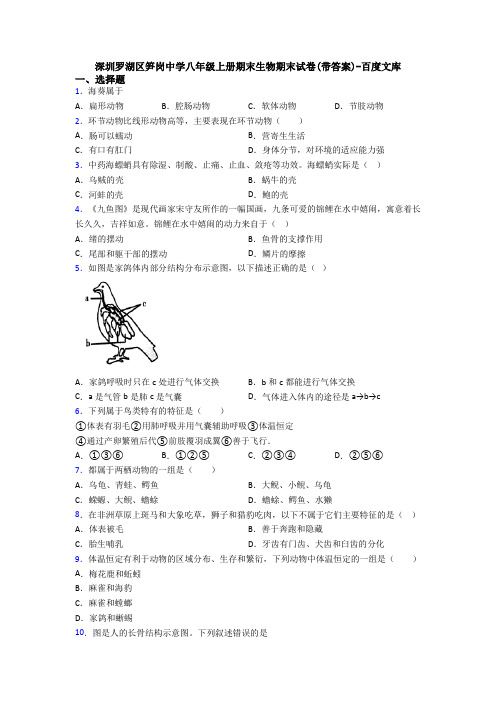 深圳罗湖区笋岗中学八年级上册期末生物期末试卷(带答案)-百度文库