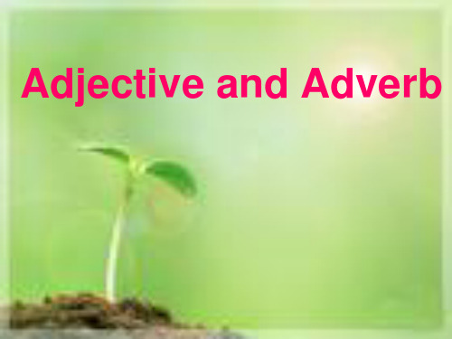 adj[1].adv.