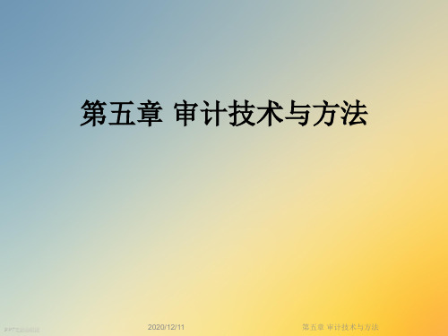 第五章 审计技术与方法