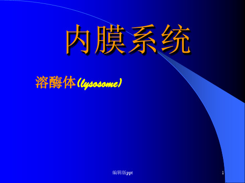 内膜系统PPT课件