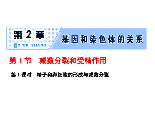 新人教版必修2第1课时 精子和卵细胞的形成与减数分裂(62张)课件