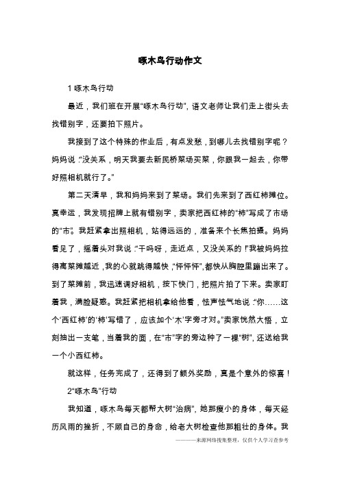 啄木鸟行动作文
