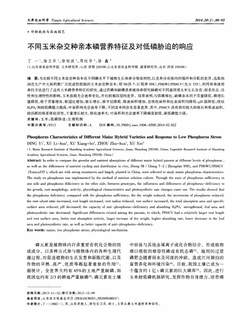 不同玉米杂交种亲本磷营养特征及对低磷胁迫的响应