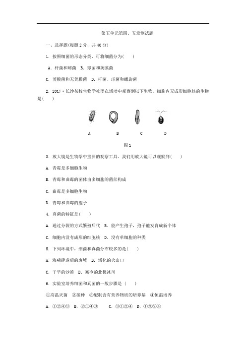 人教版八年级生物上册第五单元第四、五章测试题
