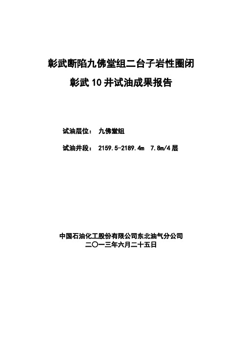 彰武10井试油报告 最新