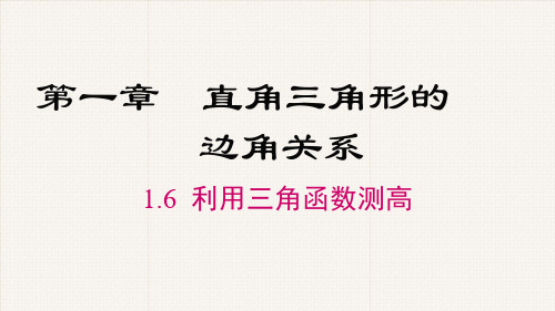 北师大版九年级数学下册《利用三角函数测高》PPT课件