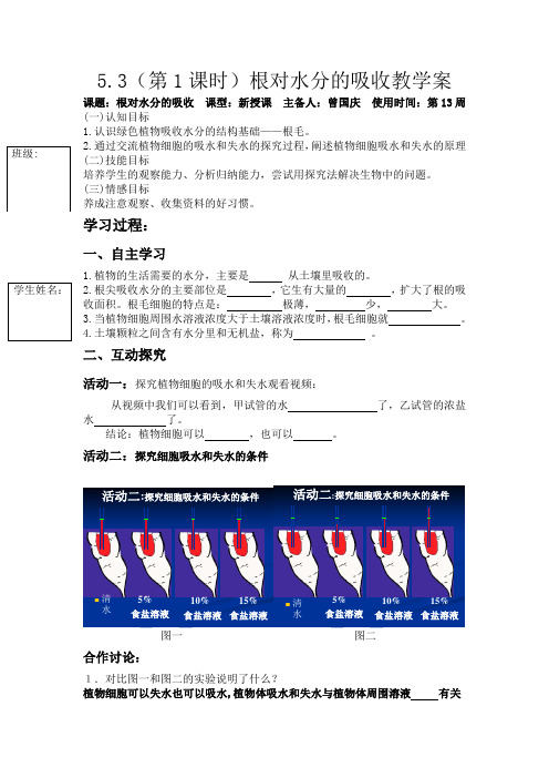 植物的根对水分的吸收教学案
