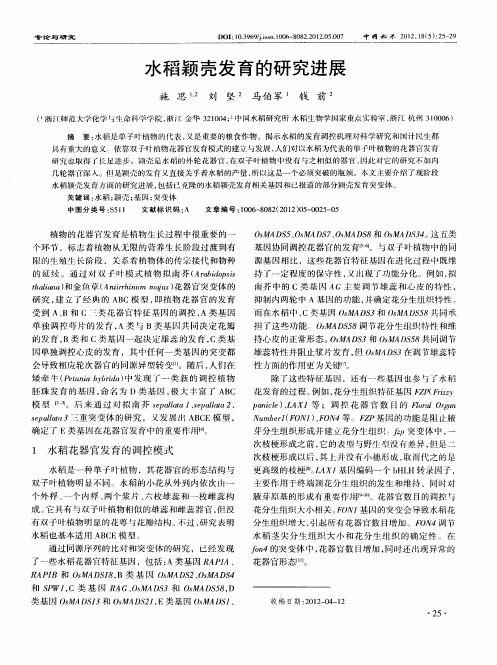水稻颖壳发育的研究进展