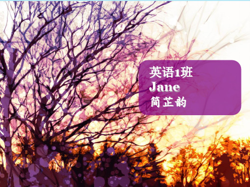 美国社会各阶层解析 英文版 social class