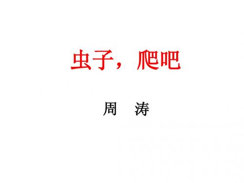 虫子,爬吧