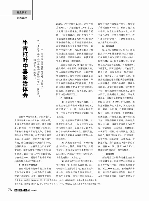 牛青杠叶中毒防治体会