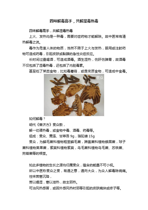 四味解毒高手，共解湿毒热毒