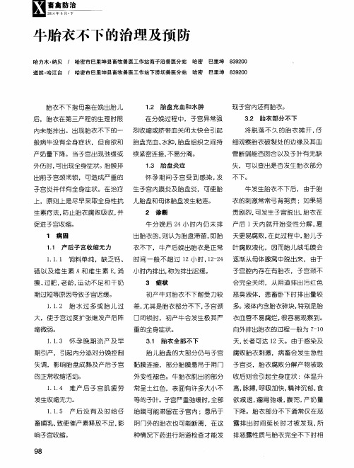 牛胎衣不下的治理及预防