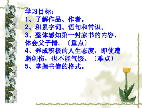 《傅雷家书两则》示范课ppt课件