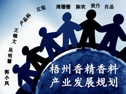 梧州市香精香料发展规划.pptx