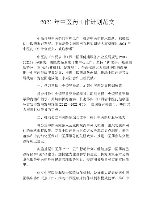 2021年中医药工作计划范文