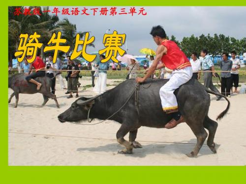 苏教版一年级下册语文《骑牛比赛》课件PPT