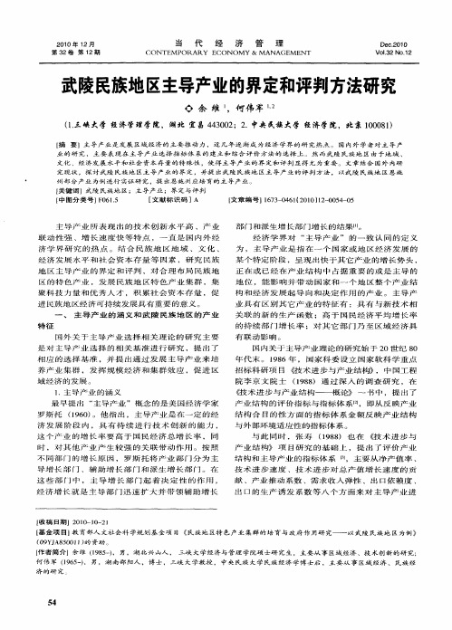 武陵民族地区主导产业的界定和评判方法研究