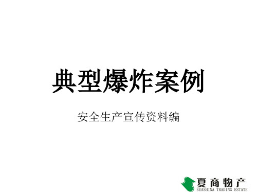 典型爆炸案例--图