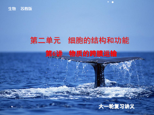 2014届高考(苏教版)生物大一轮课件：第6讲 物质的跨膜运输(共98张PPT)